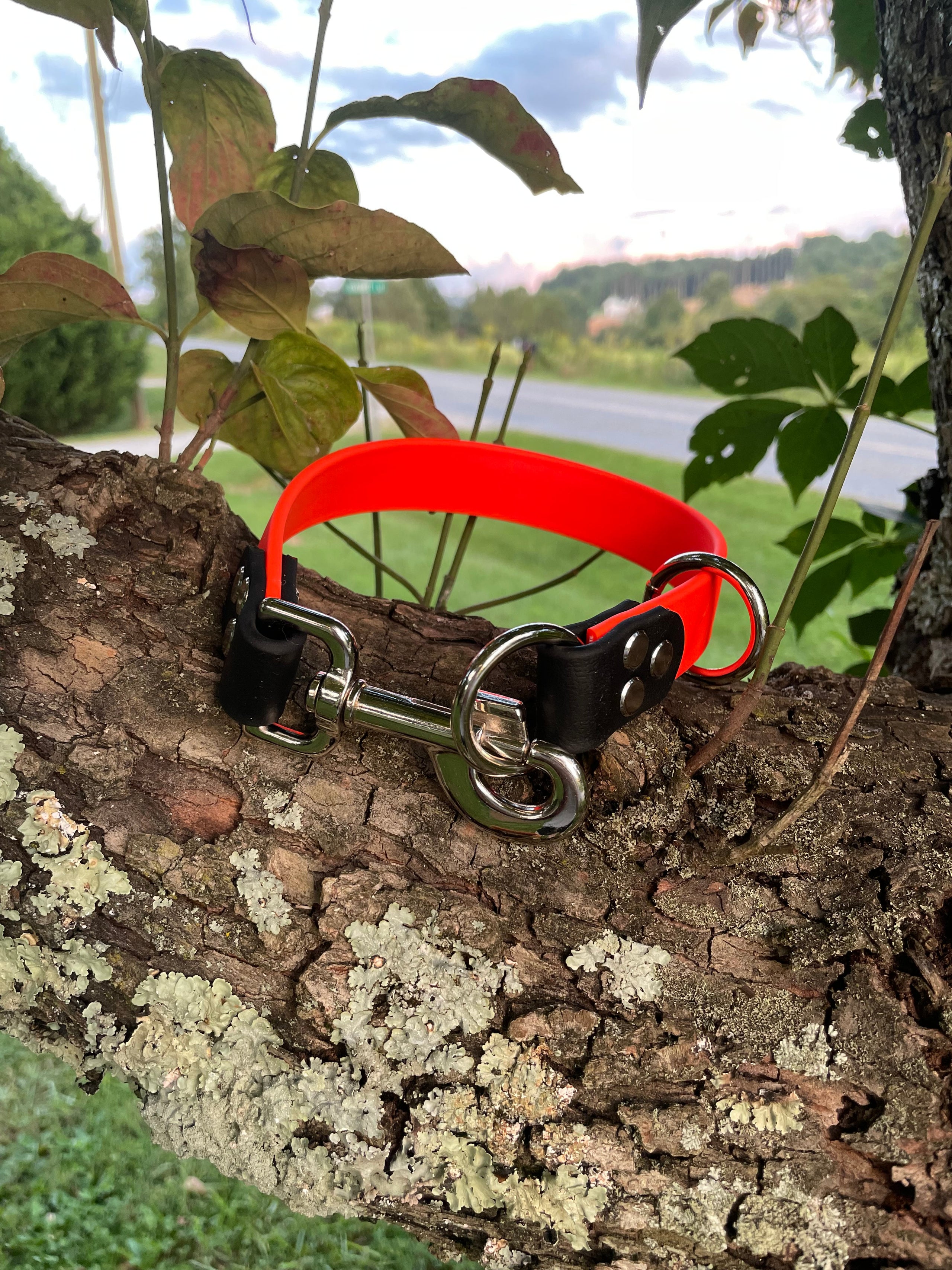 1 Inch Modified slip collar Mountain Dog Gear